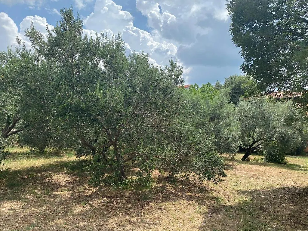 Apartmani Jaki, Biograd Na Moru